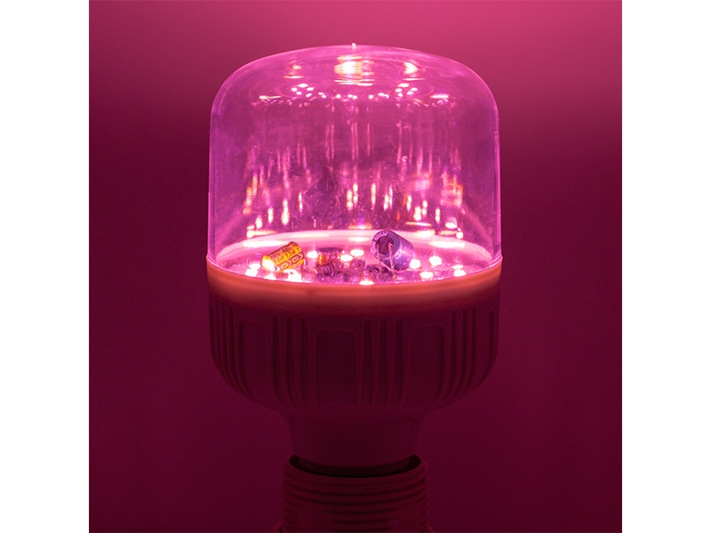 T80 LED Flowering Lamp