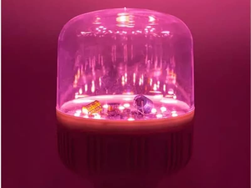 Le lampade a LED per la coltivazione possono davvero far prosperare le piante?